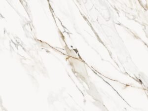 Calacatta Paonazzo - 59.5x59.5